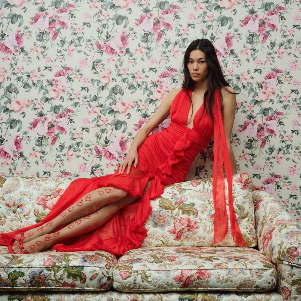 For Love & Lemons “Katya” Silk Chiffon Dress Size Small NWOT